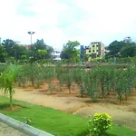 Mk Suites
