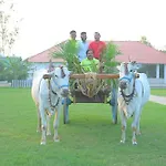 Farm Stay Resort - Shamirpet, Hyderabad