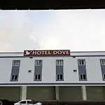 Treebo Trend Dove