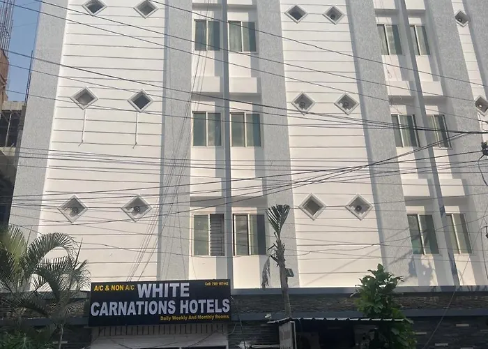 White Carnations Hotel