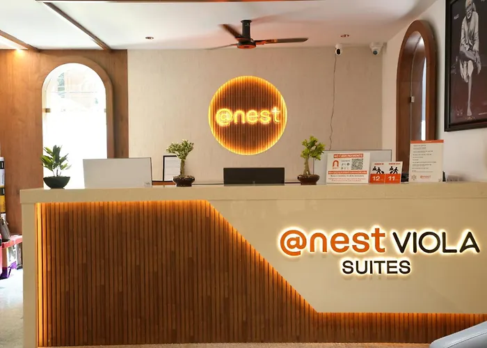 Viola Suites