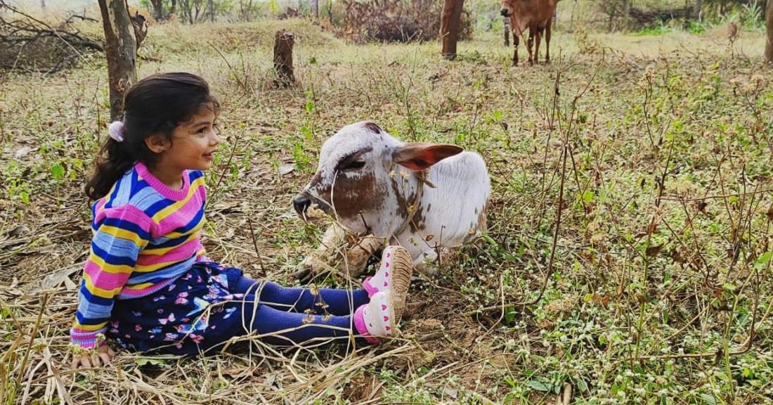 Hornbill Farm Resort * Hyderabad