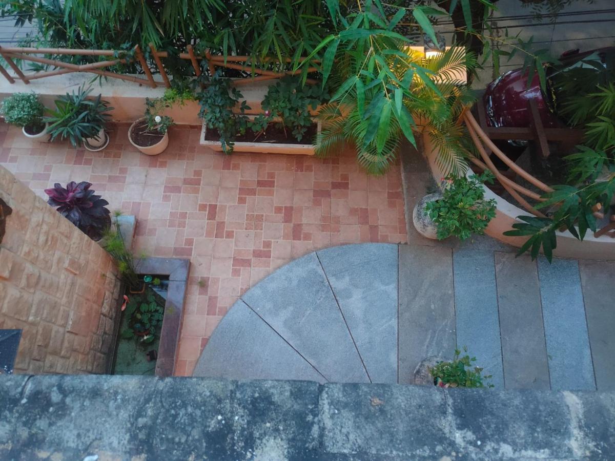 Albergue Nomads Nest *