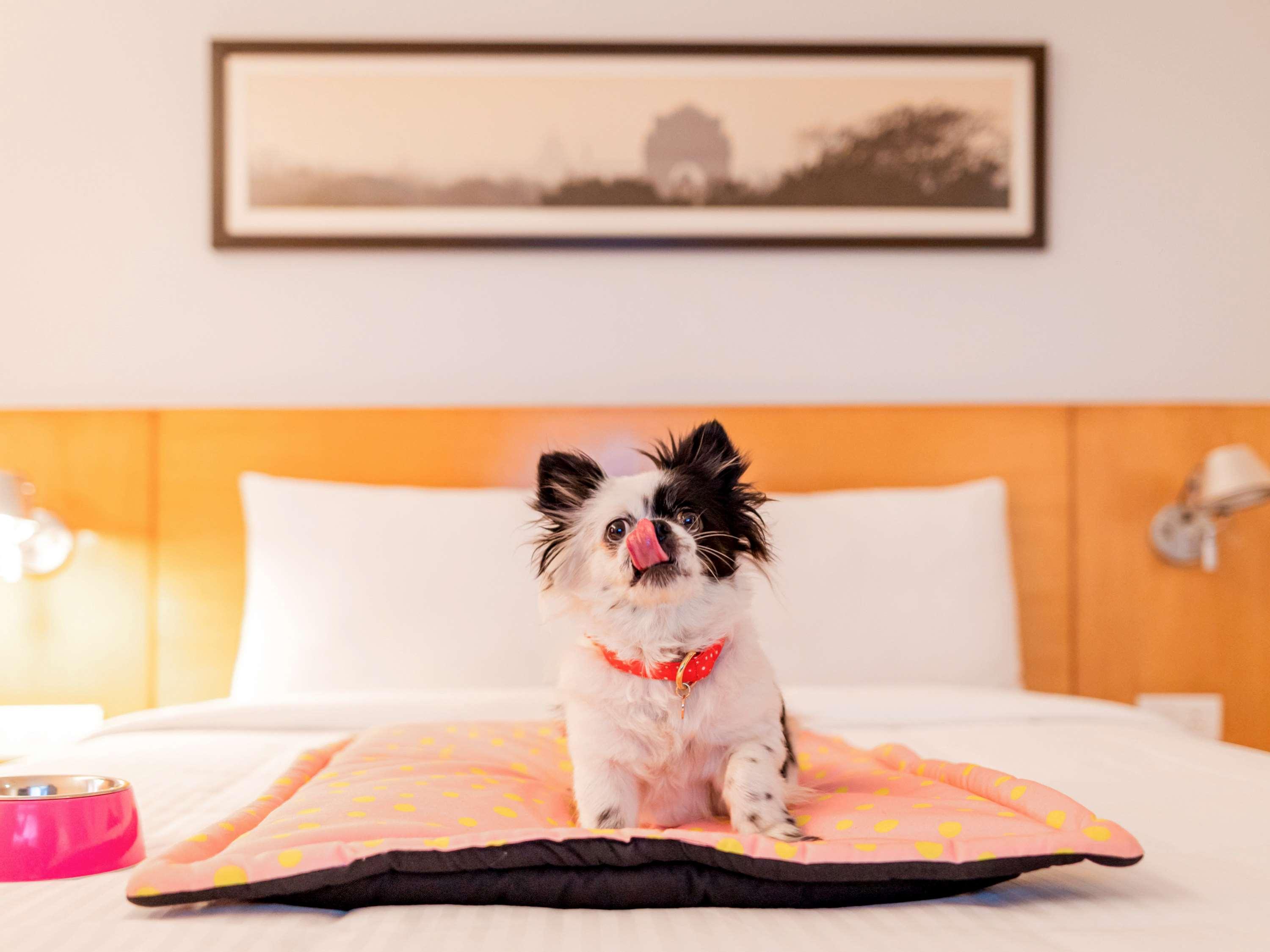Ibis Hitec - An Accor Brand