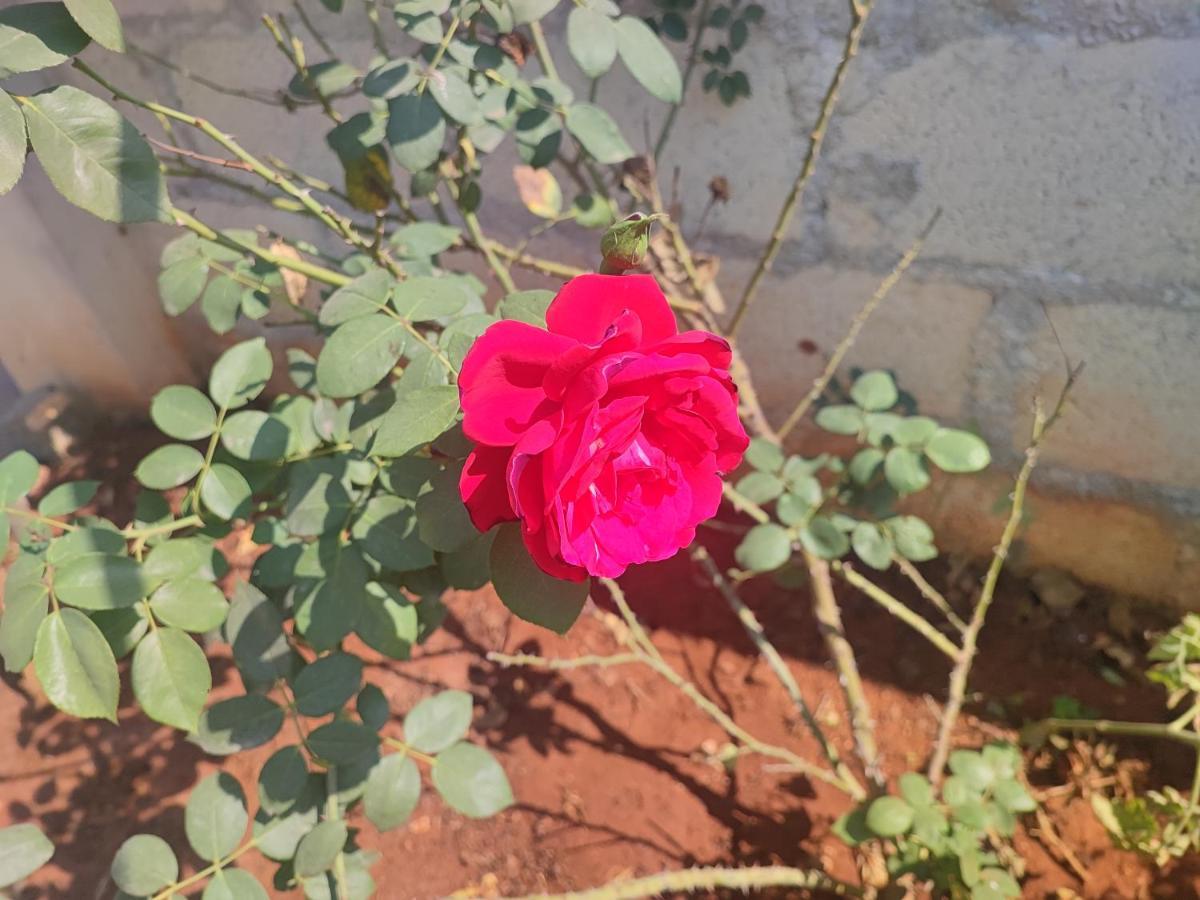 Sunanda's Farm House Guest house Hyderabad