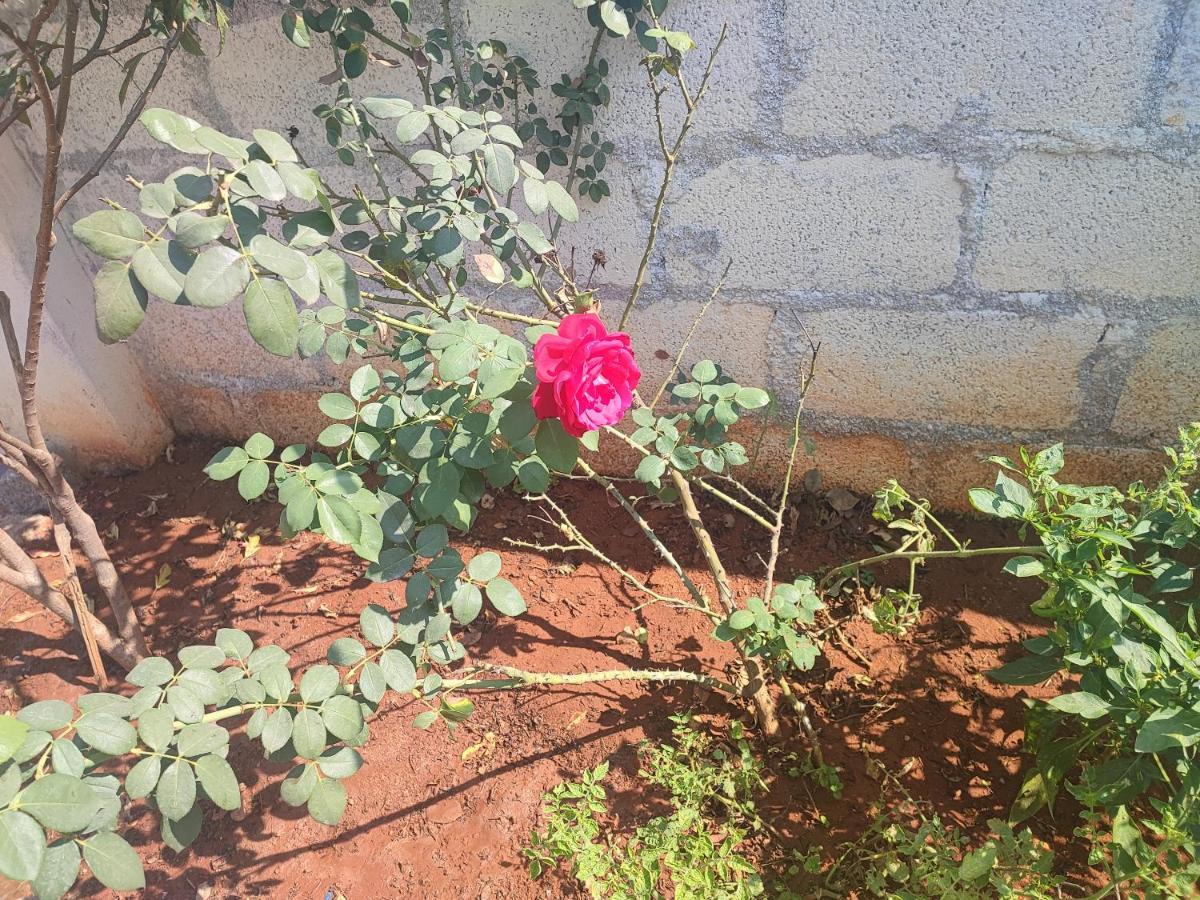 Sunanda's Farm House Guest house