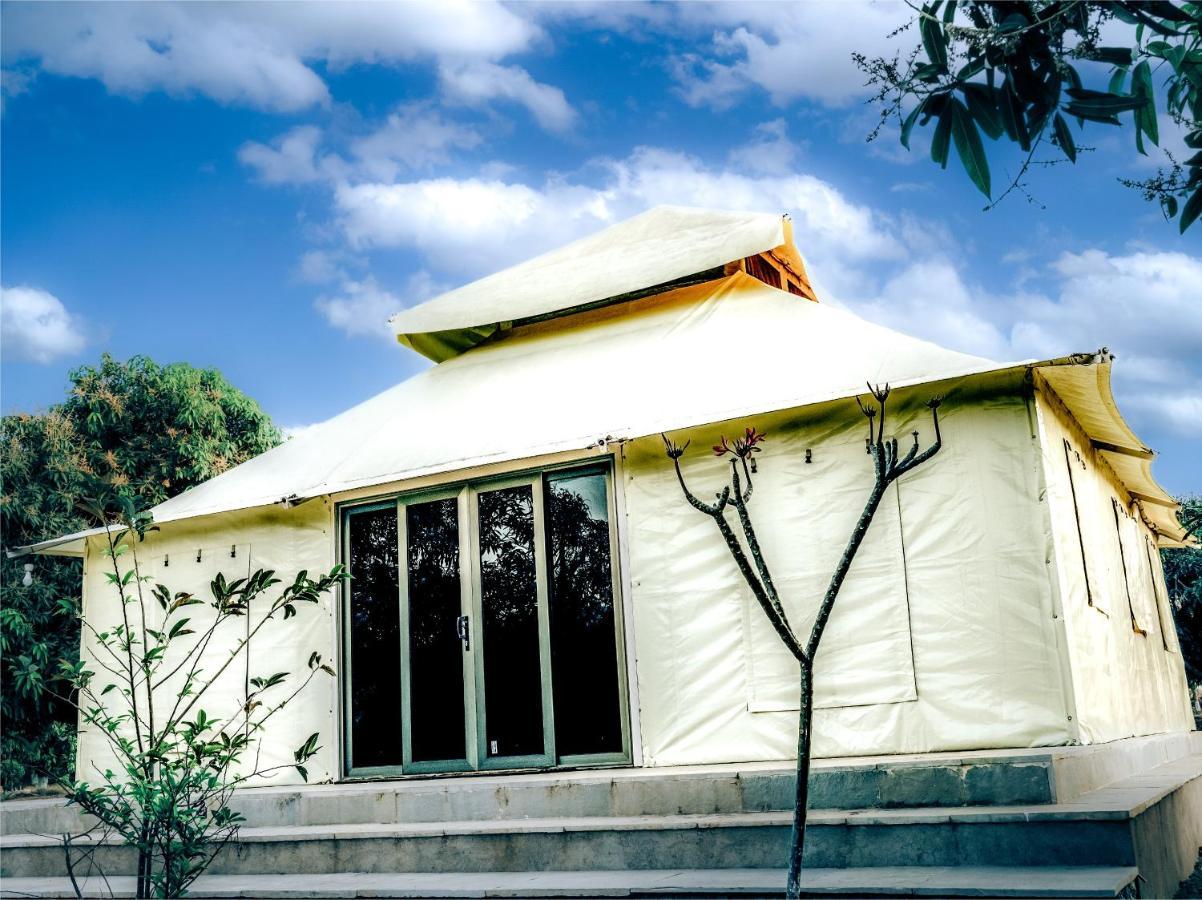 Angirasa Luxury Luxury tent *