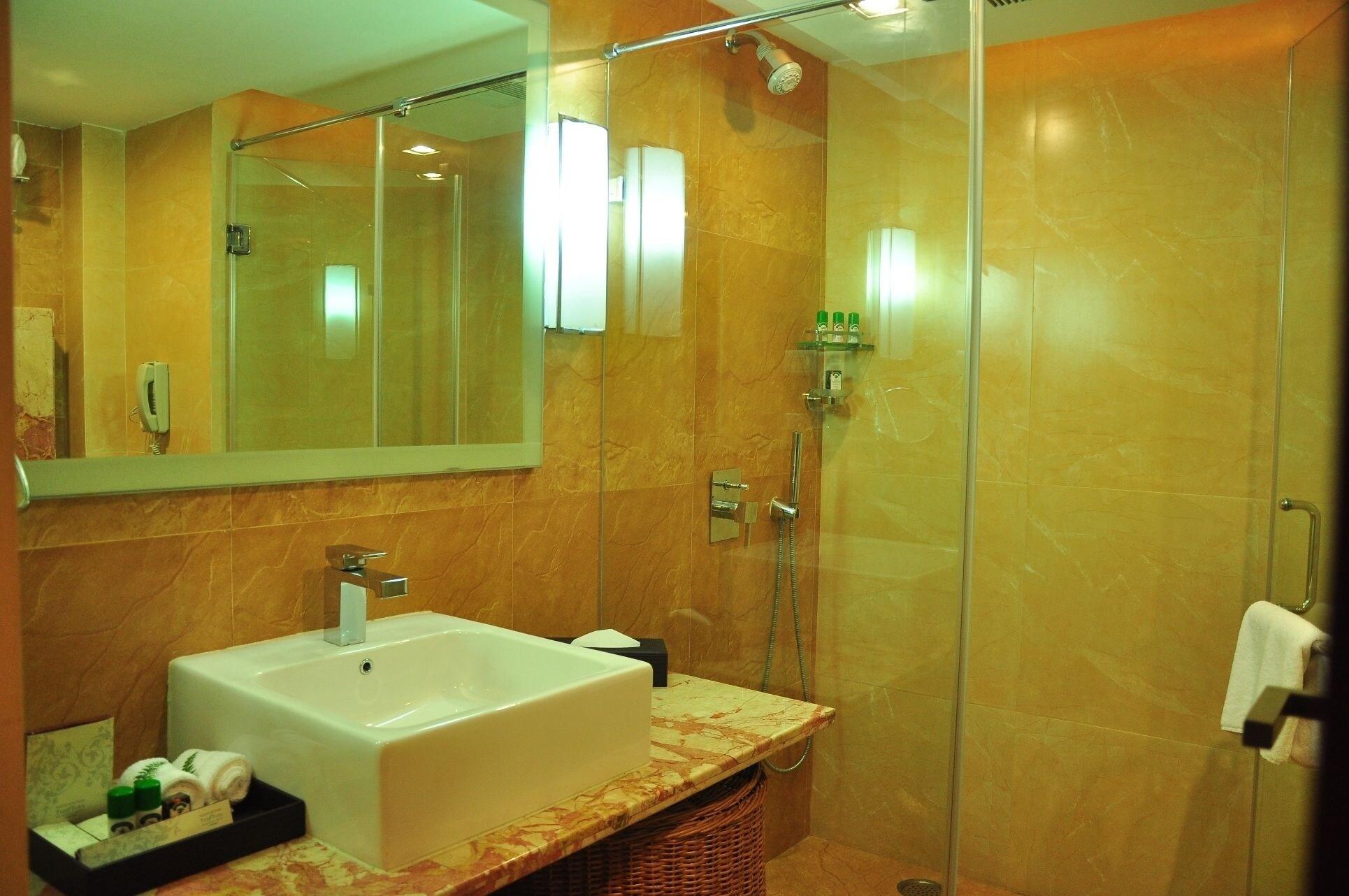 Manasarovar - The Fern 4*