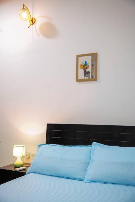 Tourist Friendly -3bhk Ac Near Birla Mandir,