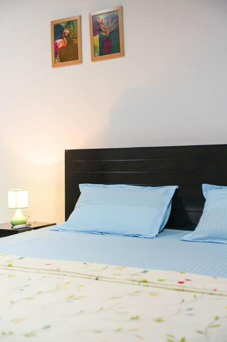 Tourist Friendly -3bhk Ac Near Birla Mandir, *