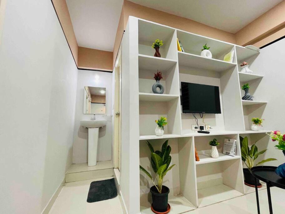 Apricot: 1bhk Humble Abode In Botanical Gardens Hyderabad