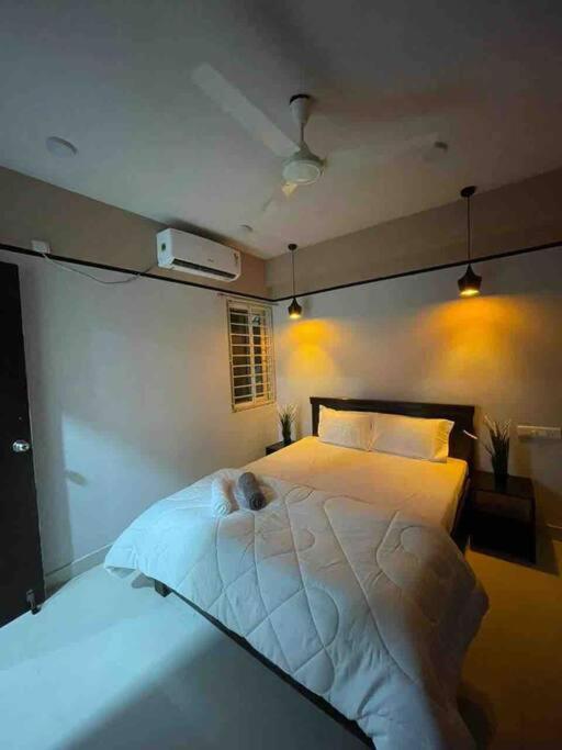 Apricot: 1bhk Humble Abode In Botanical Gardens Apartment