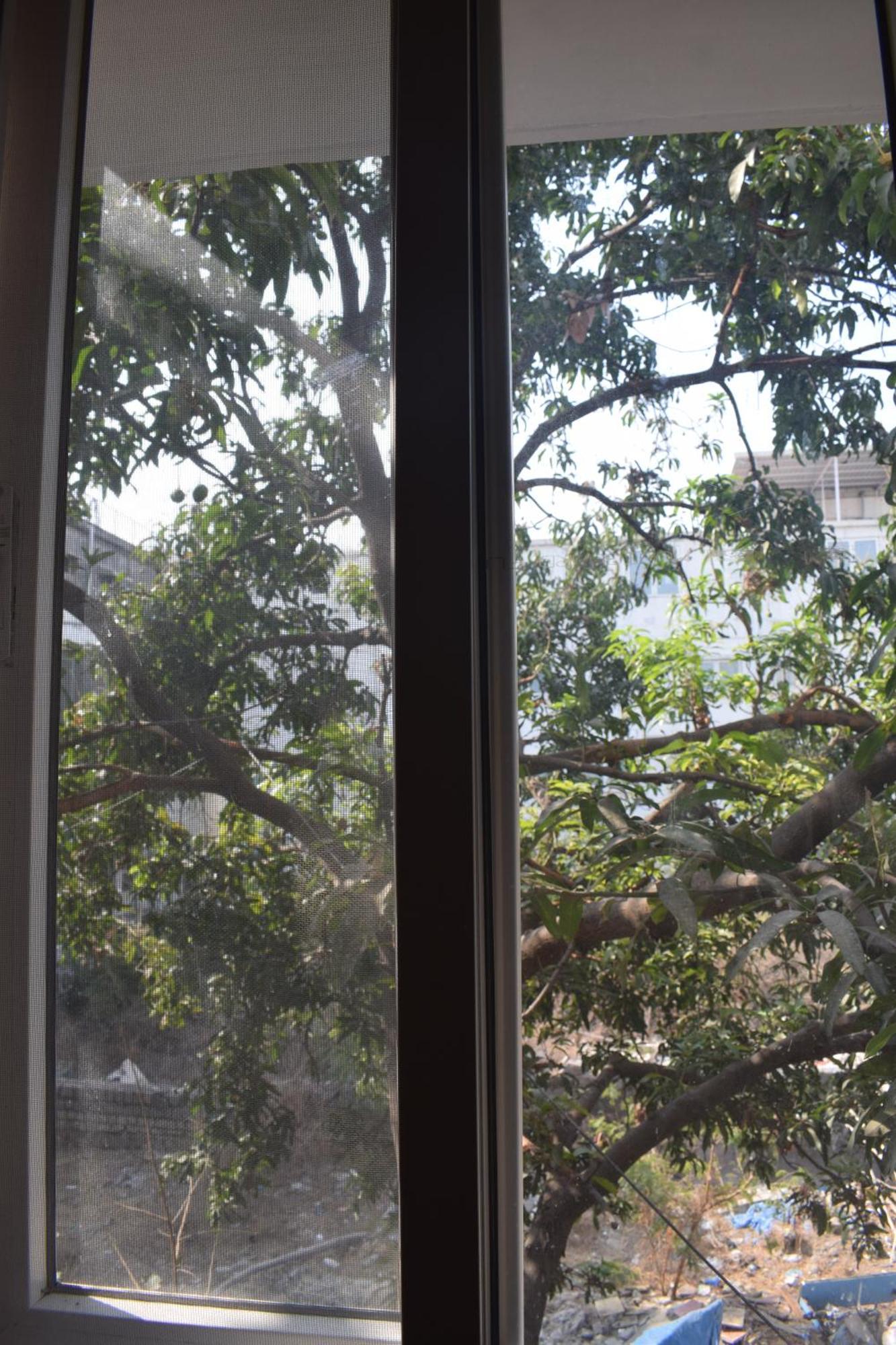 Elysium Albergue Hyderabad