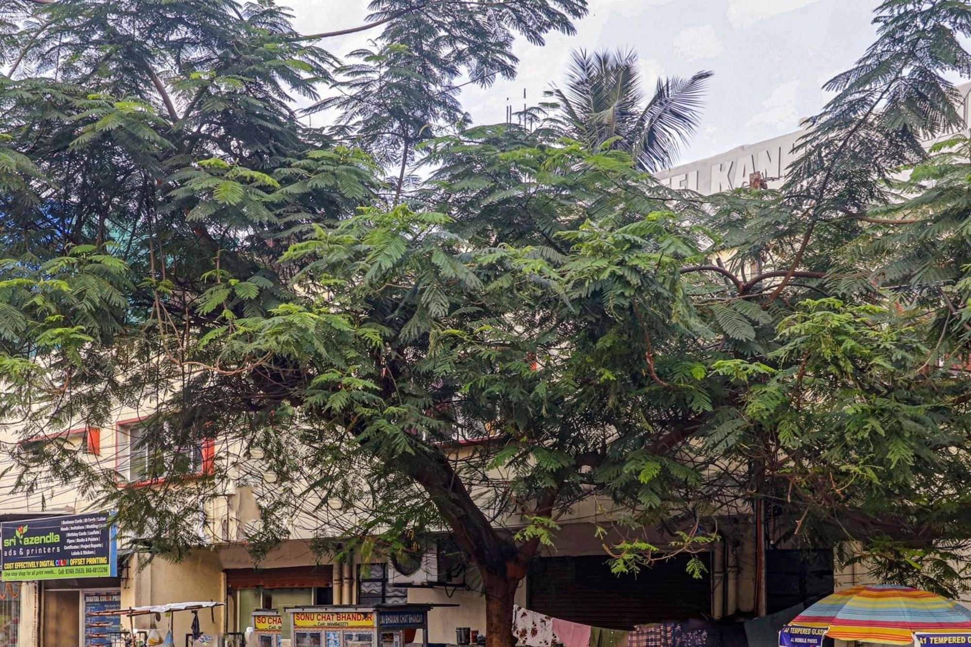 Hotel Spot On Kanha Residency Near Birla Mandir