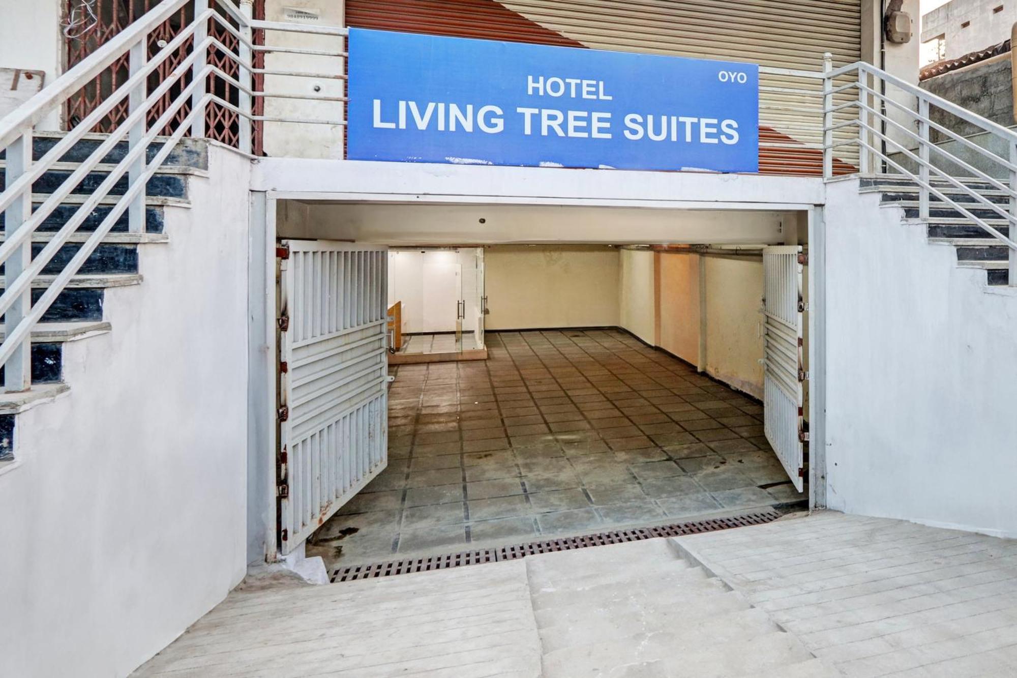 O Living Tree 4*