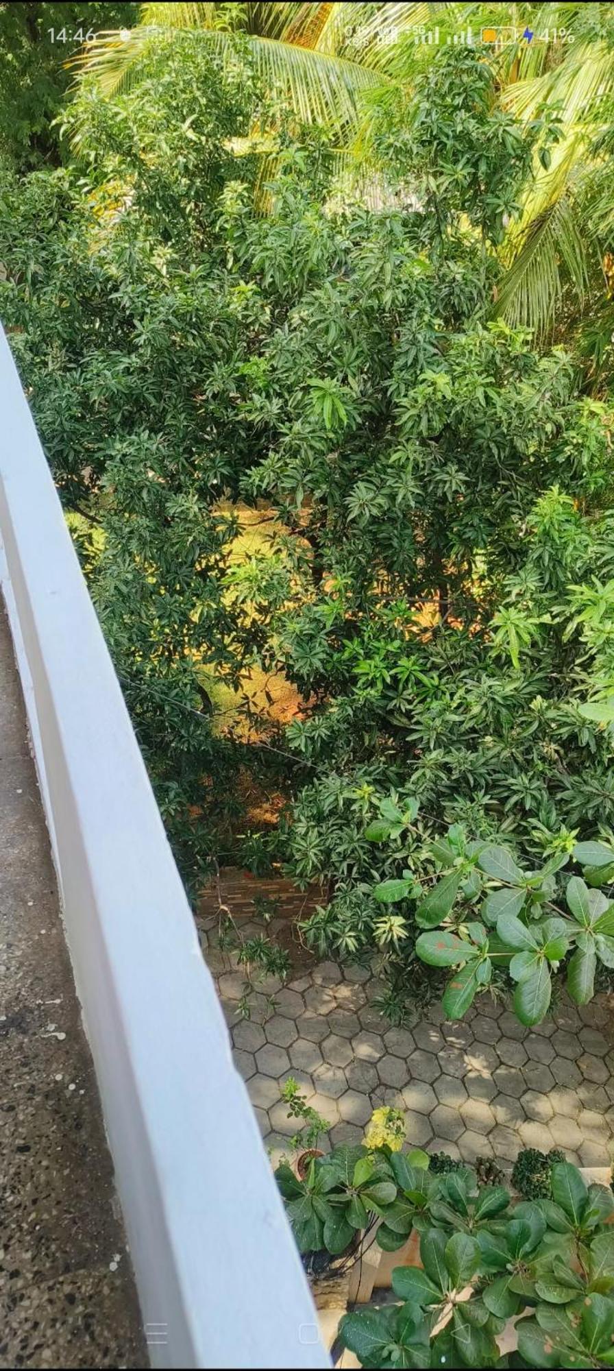 Royal Great Couple Friendly 2 Bhk Flat Road No 7 Banjara Hills * Hyderabad
