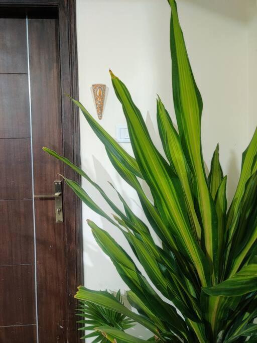 Private 1br- House Of Arts - Ankani Staay Hyderabad