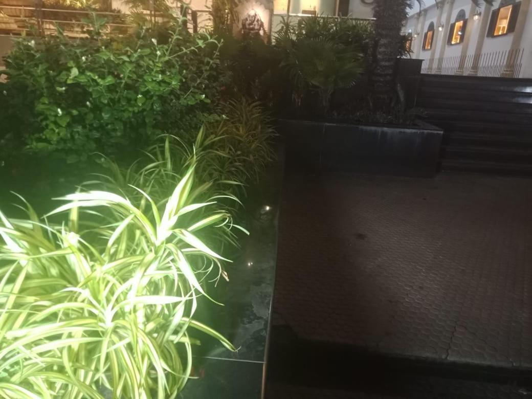 Blossoms Classic International -road View- Free Breakfast Hotel