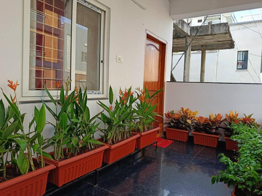 Apartment Casa - 2bhk,near Us Embassy, Gachibowli *