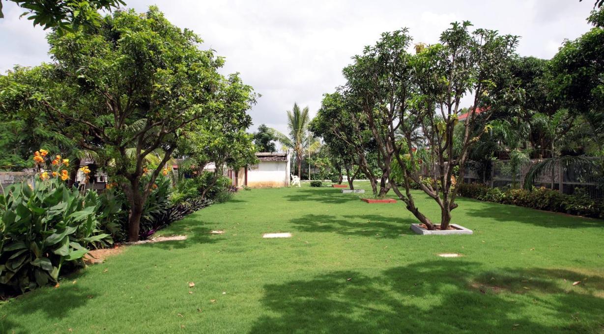 Vanam