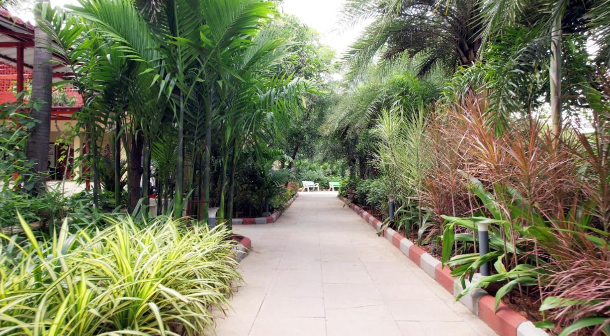 Vanam Resort *