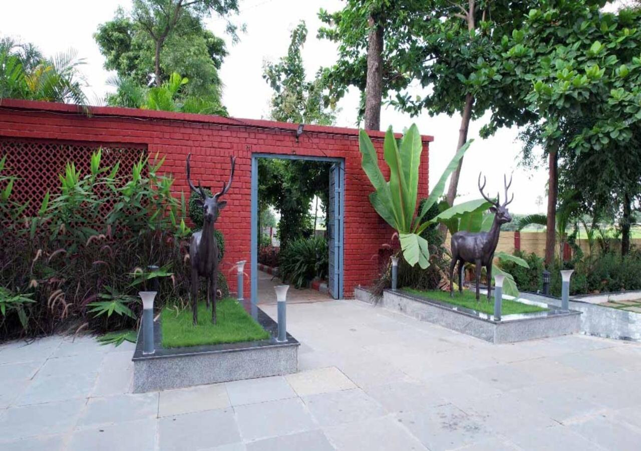 Vanam