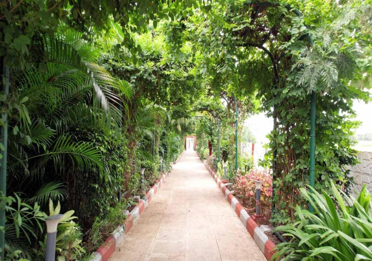 Resort Vanam