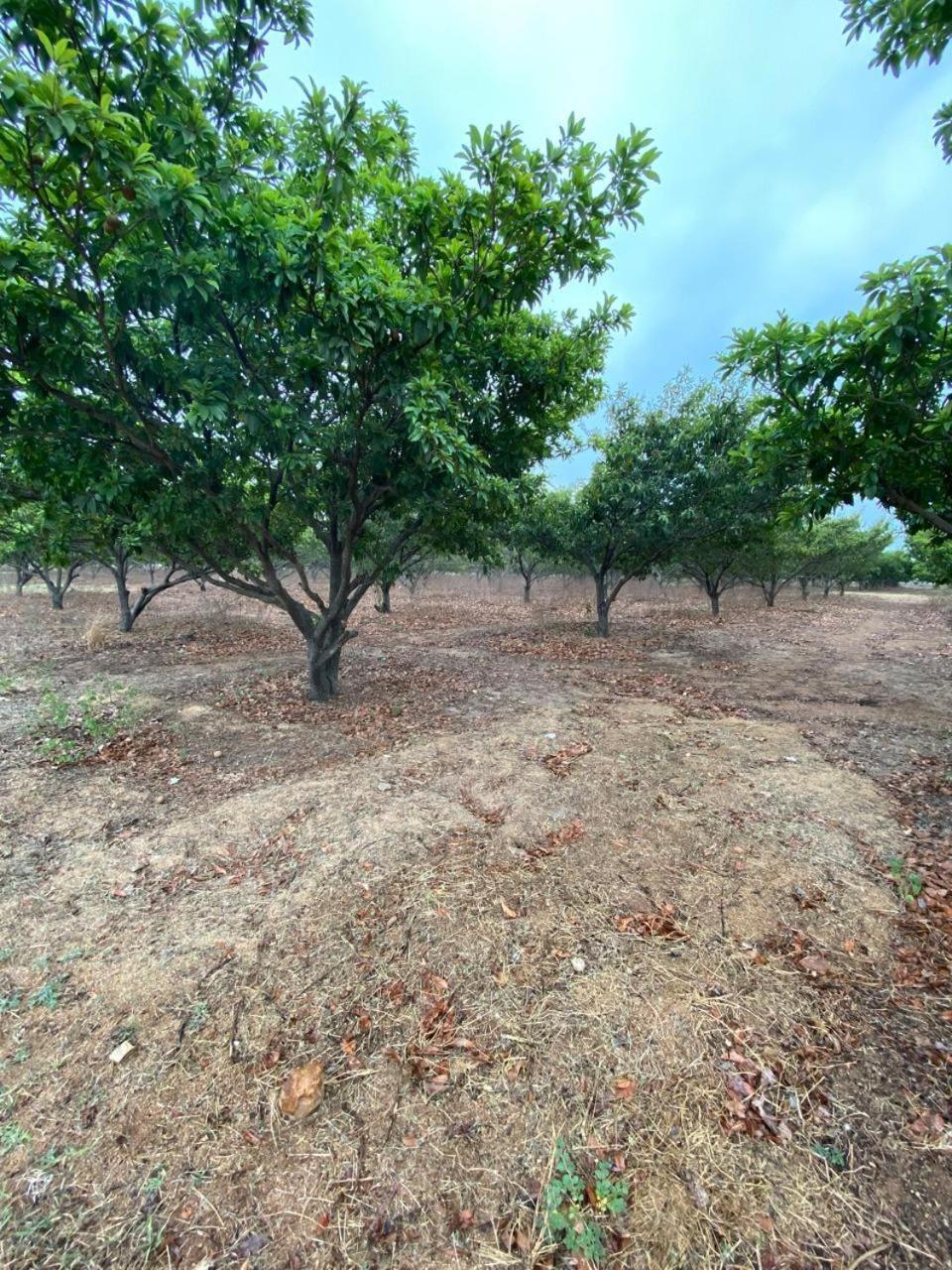 Villa Pn Farm *
