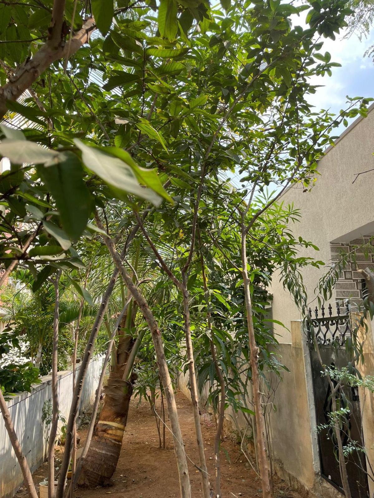 Villa Naidu Nivas Secunderabad *