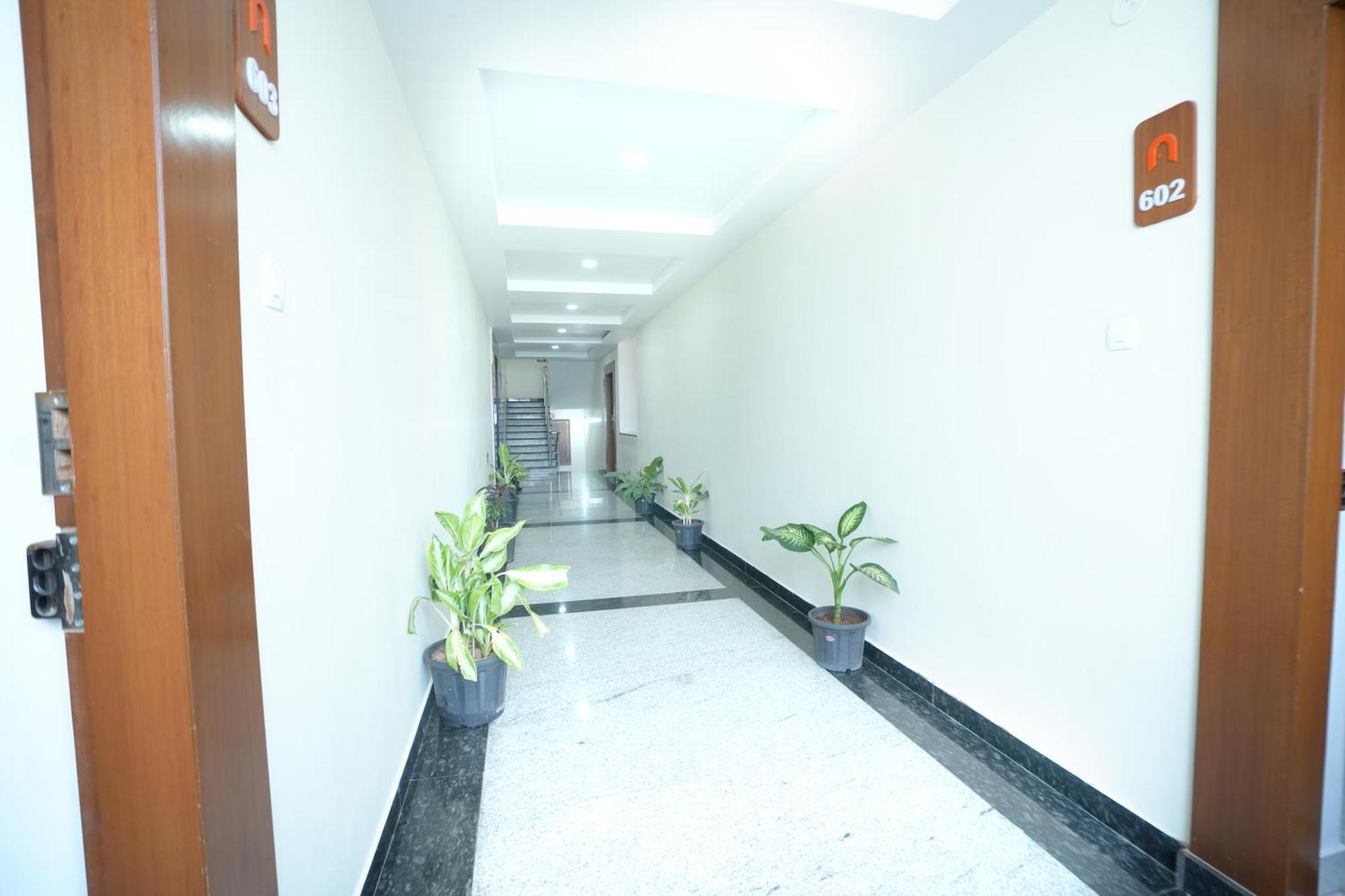 Viola Hotel 3*