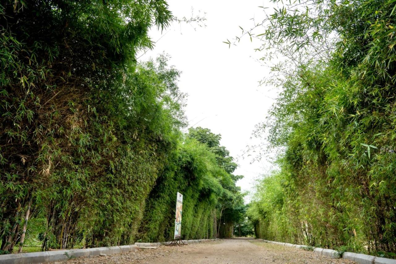 Farm - Shamirpet, Hyderabad