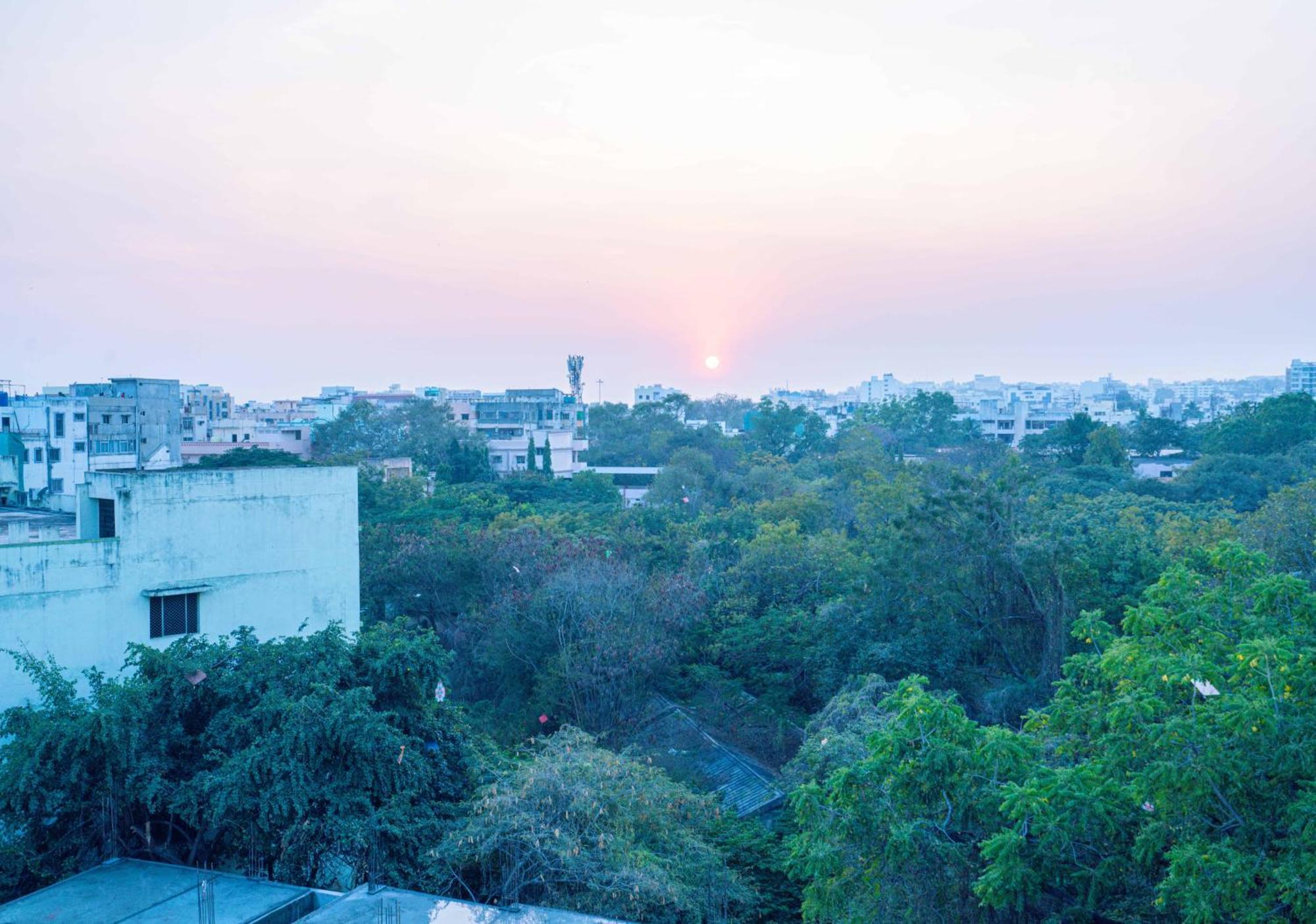 Treebo The Living Tree Khairatabad