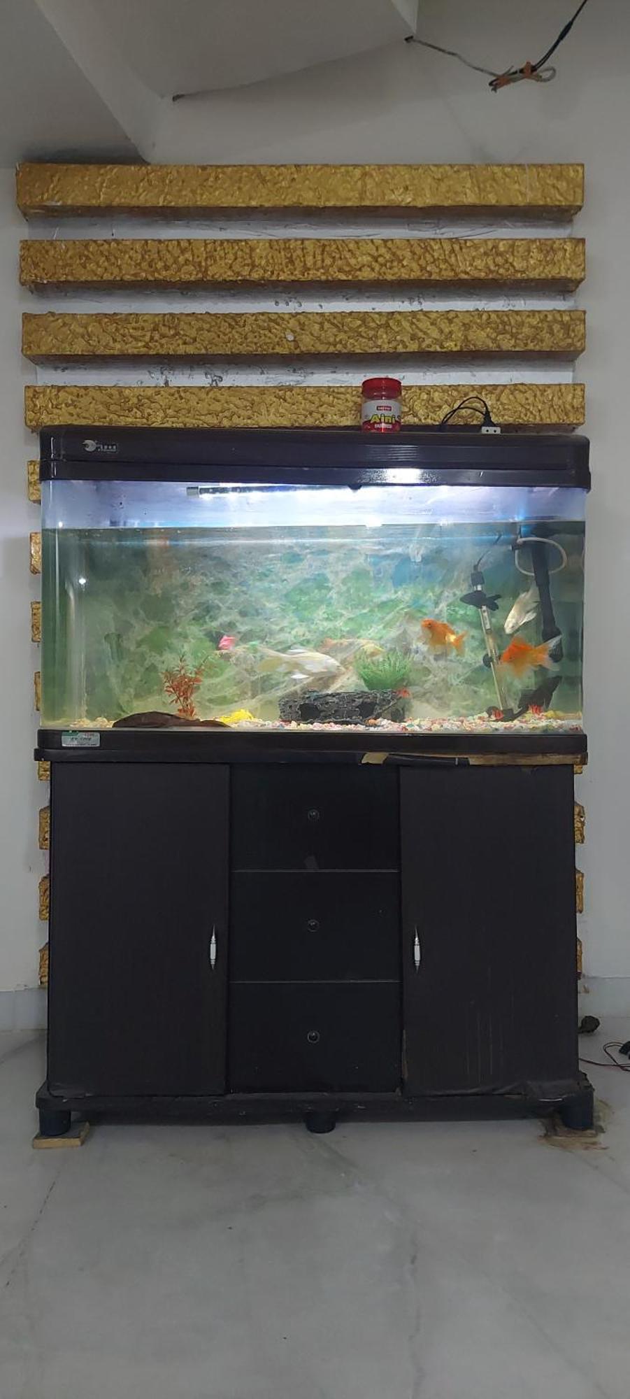 Villa Parivaar , Jubilee Hills *