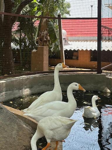 Village Trails Resort
