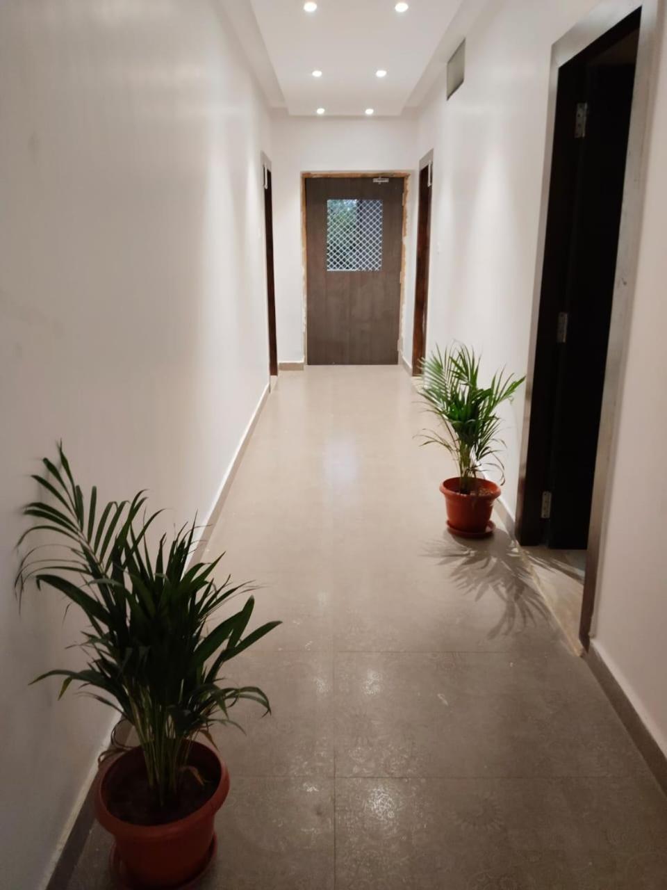 Hotel Blossom Beside Sakshi News Channel- Banjara Hills- 10 Percent Off On Restaurant Order