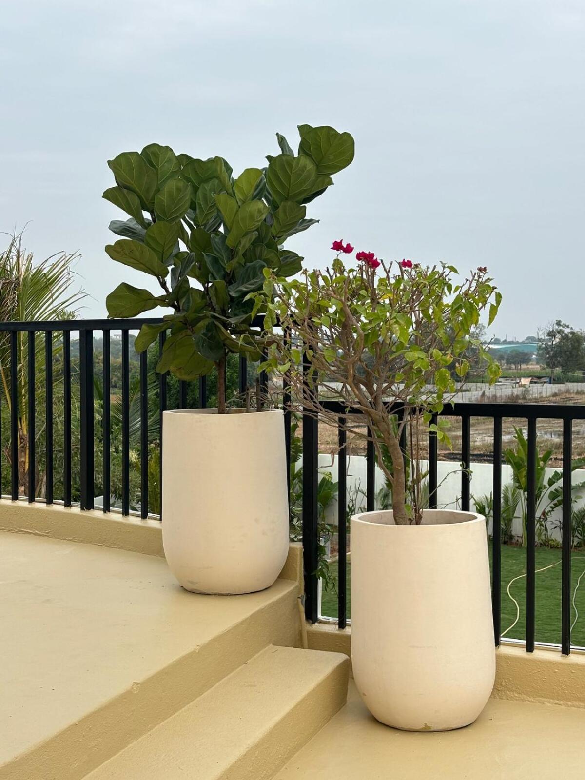 Balisoul 4br A Day In Bali,hyderabad By Homeyhuts Villa
