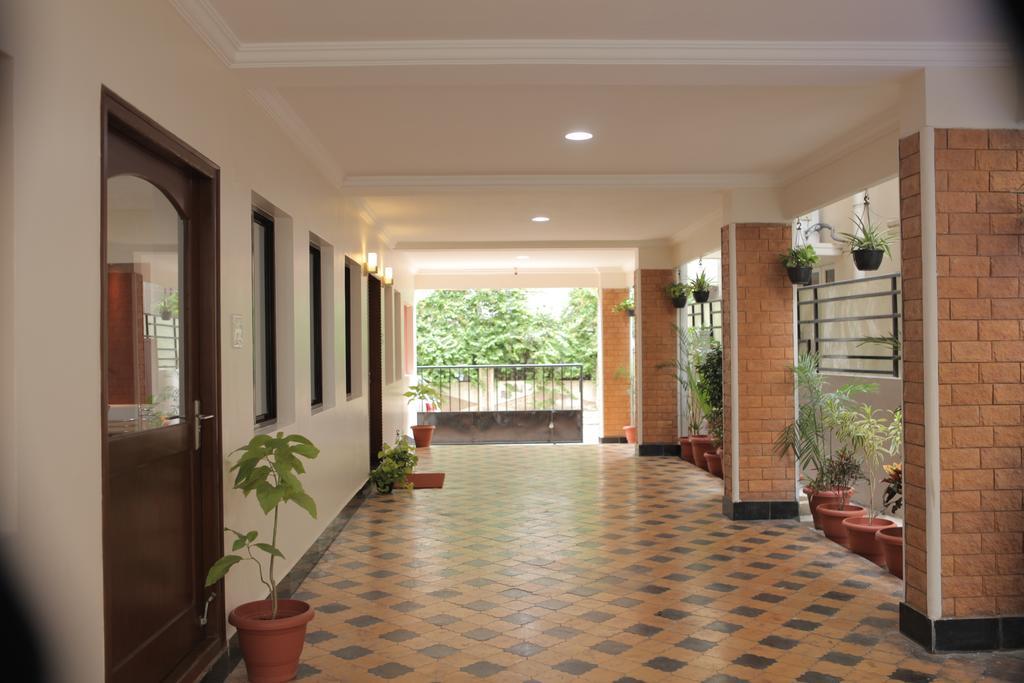 Our Nest 2*
