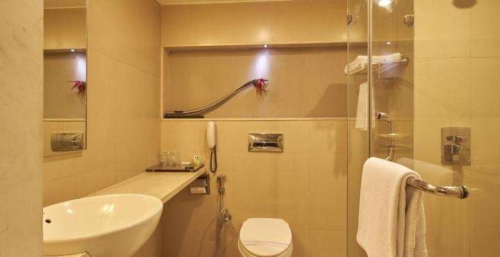 Ebony Boutique 3* Hyderabad