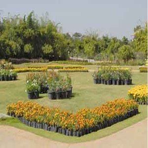 Pragati 3*