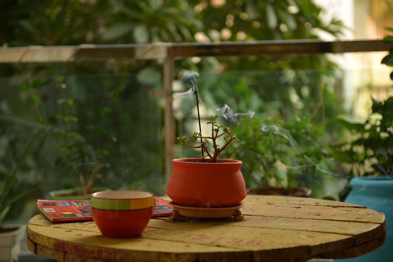 Hostel Beehive Commune Hyderabad