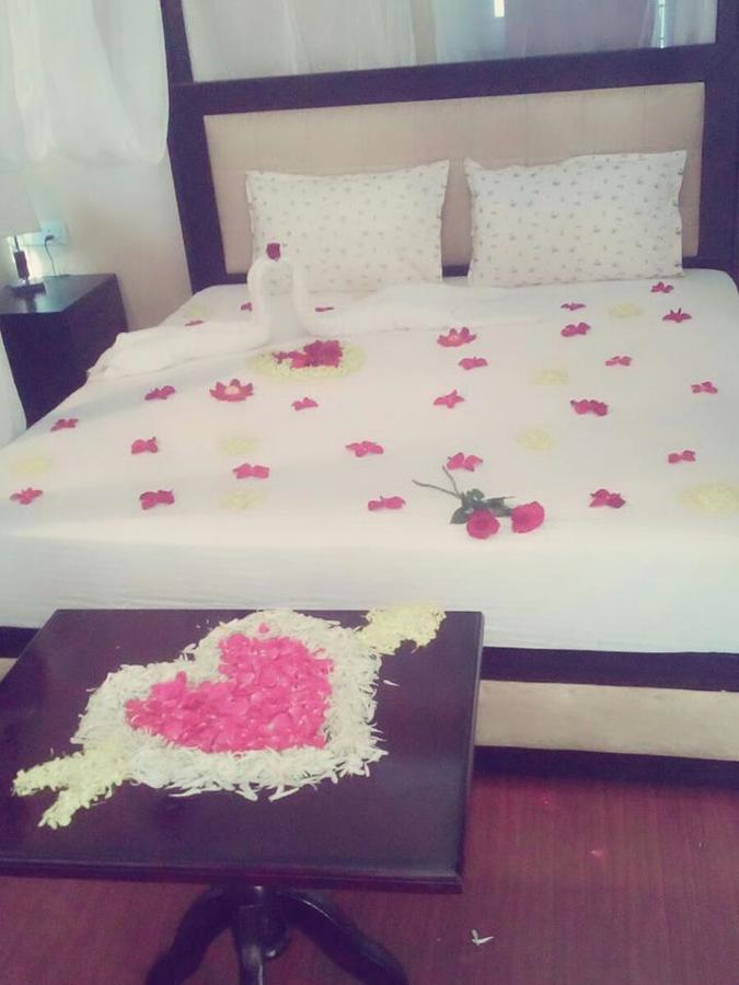 Ananya Eco &