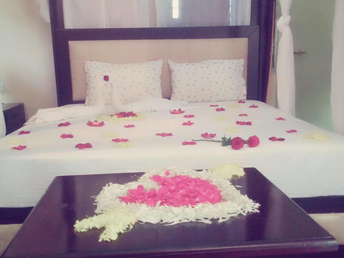 Ananya Eco & 3*