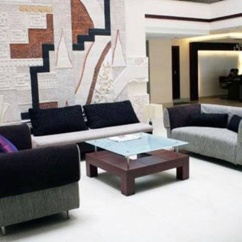 Hotel Oyo Townhouse 9 Hitech