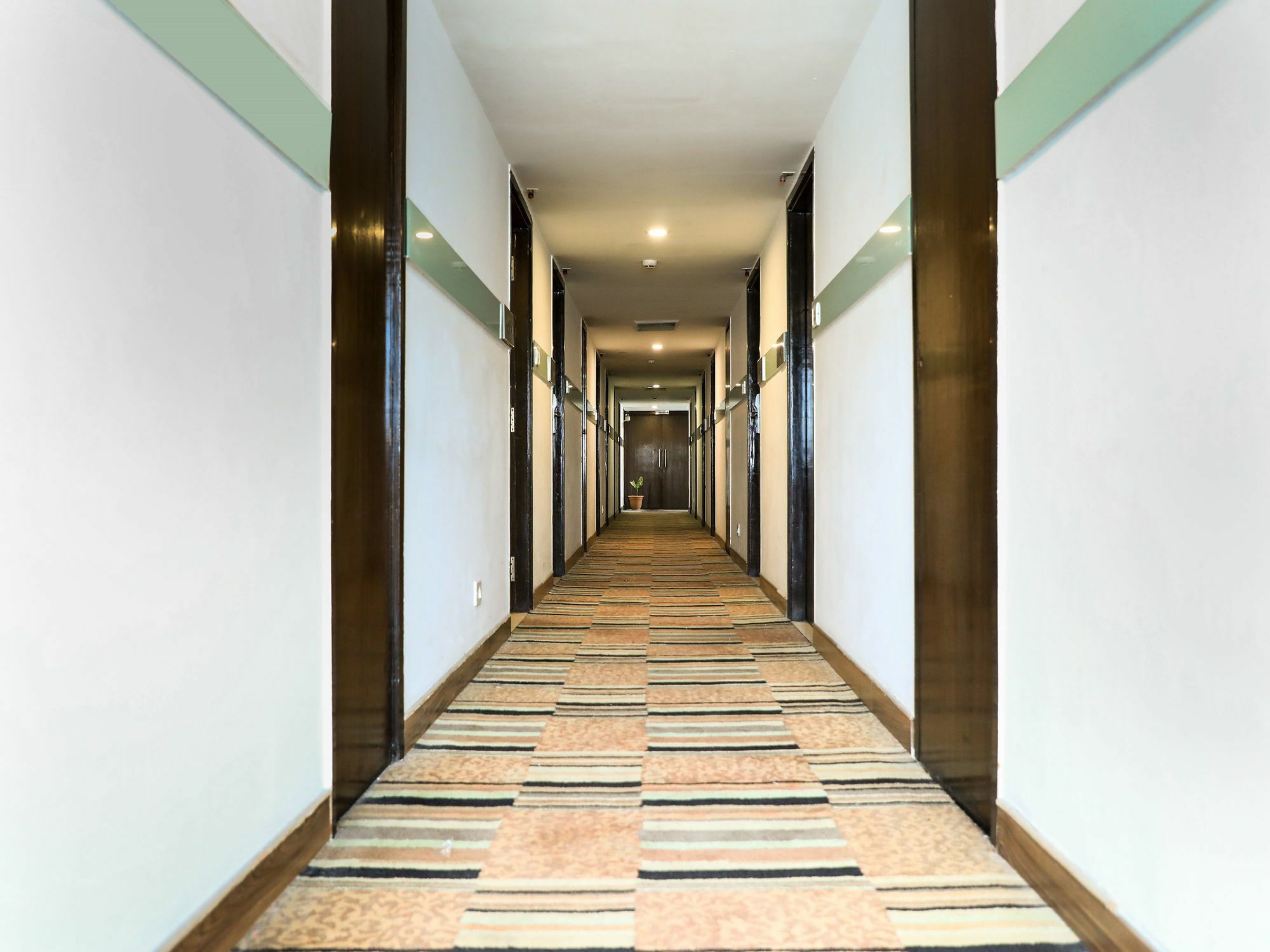 Hotel Oyo 914 Casa Luxurio Hyderabad