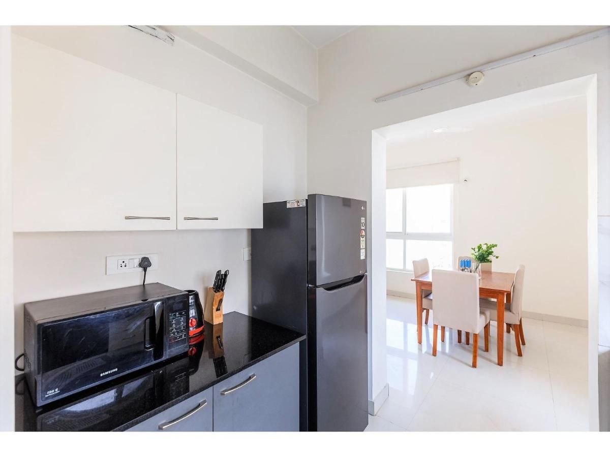 Olive Service Apartments Hitech City Apartment