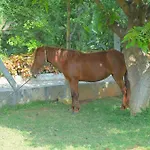 Farm Stay Resort - Shamirpet, Hyderabad