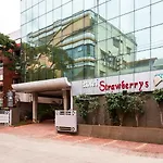 Treebo Trip Strawberrys