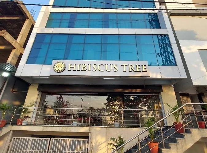 Hotel Hibiscus Tree- Bachupally