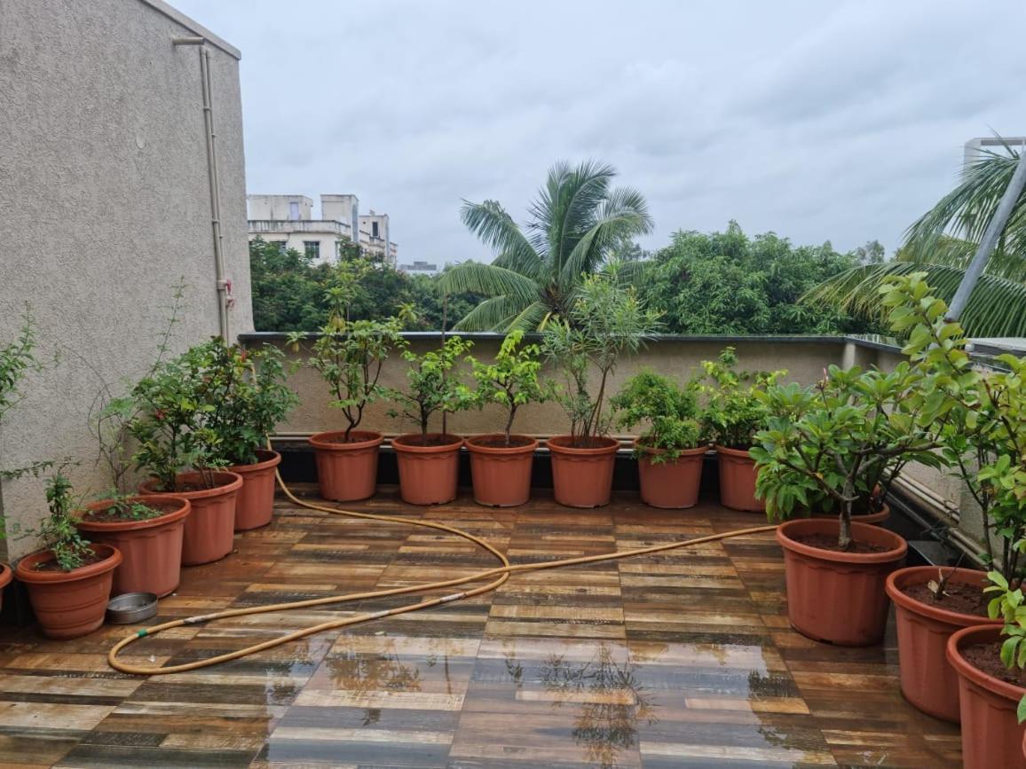Terrace Garden