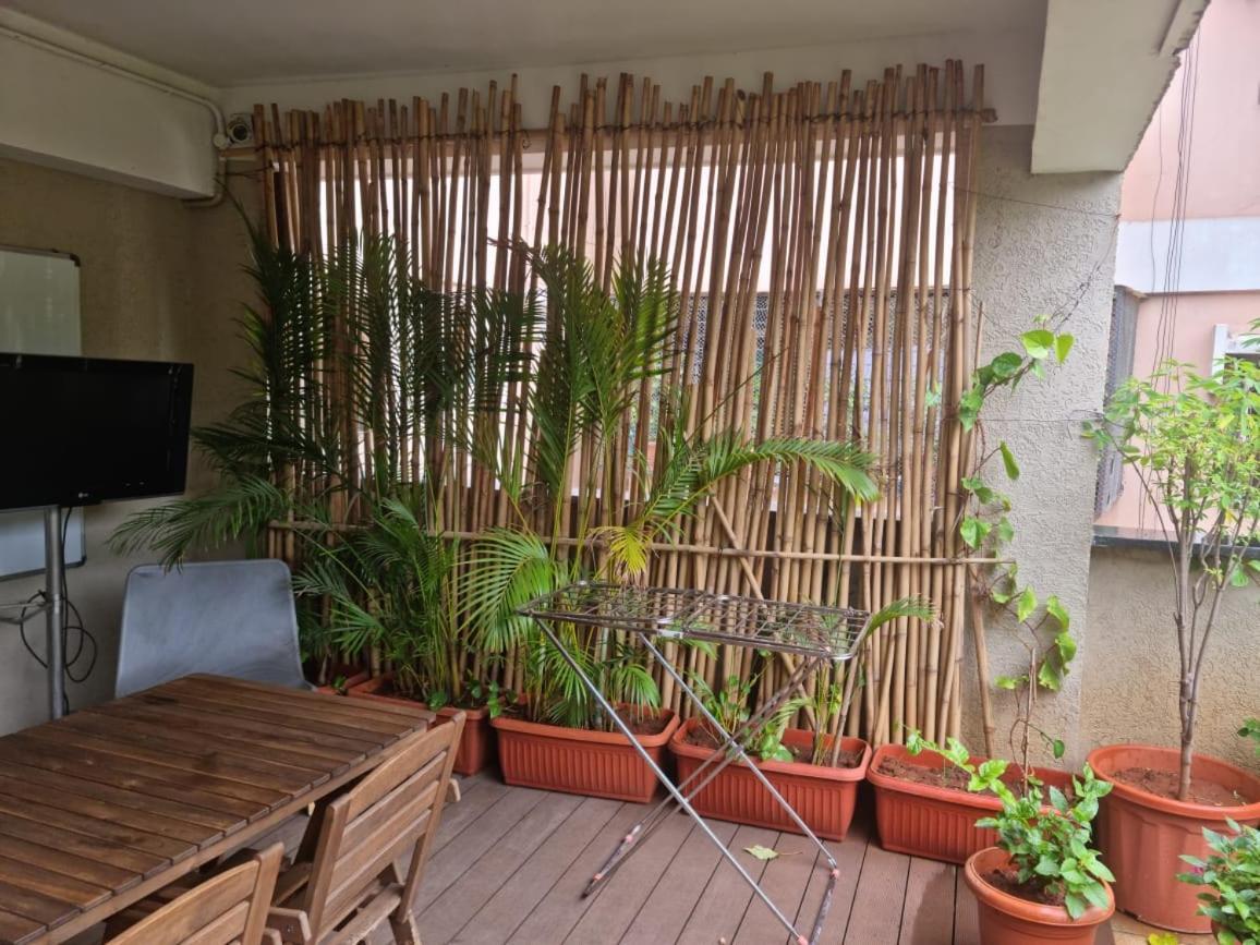 Terrace Garden